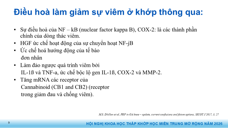Bài báo cáo: Vai trò của Huyết tương giàu tiểu cầu trong điều trị thoái hóa khớp