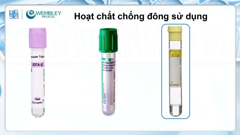 Bài báo cáo: Nguồn sống tự thân cho các vấn đề của da đầu: Tiềm năng sinh học của huyết tương giàu tiểu cầu