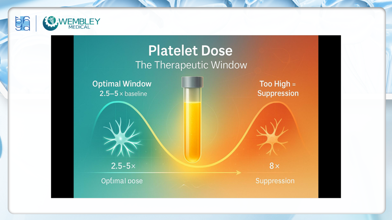 Presentation: Optimizing the Application of PRP in Facial Skin Treatments