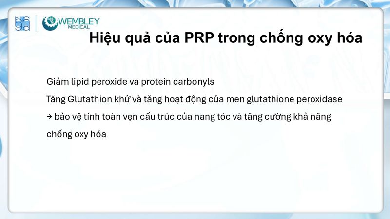 Bài báo cáo: Nguồn sống tự thân cho các vấn đề của da đầu: Tiềm năng sinh học của huyết tương giàu tiểu cầu