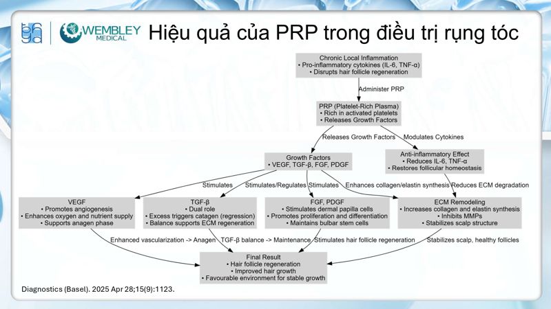 Bài báo cáo: Nguồn sống tự thân cho các vấn đề của da đầu: Tiềm năng sinh học của huyết tương giàu tiểu cầu
