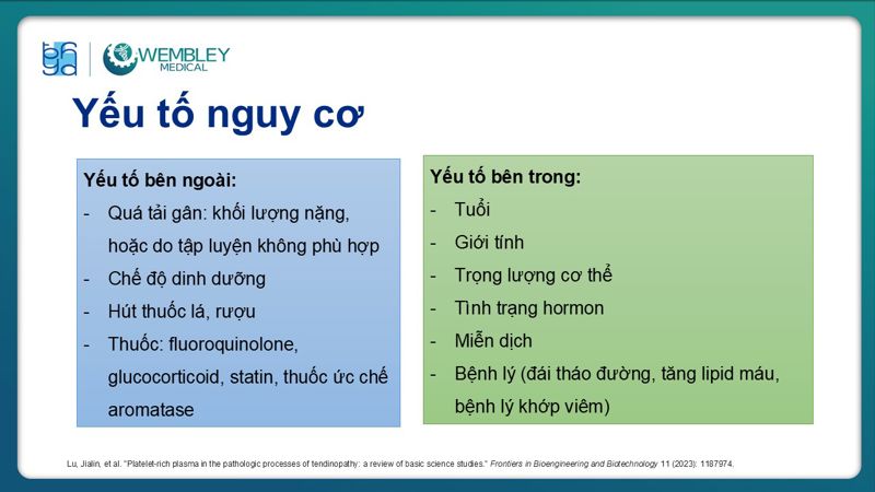 Bài báo cáo: Ứng dụng PRP trong điều trị bệnh lý viêm gân 