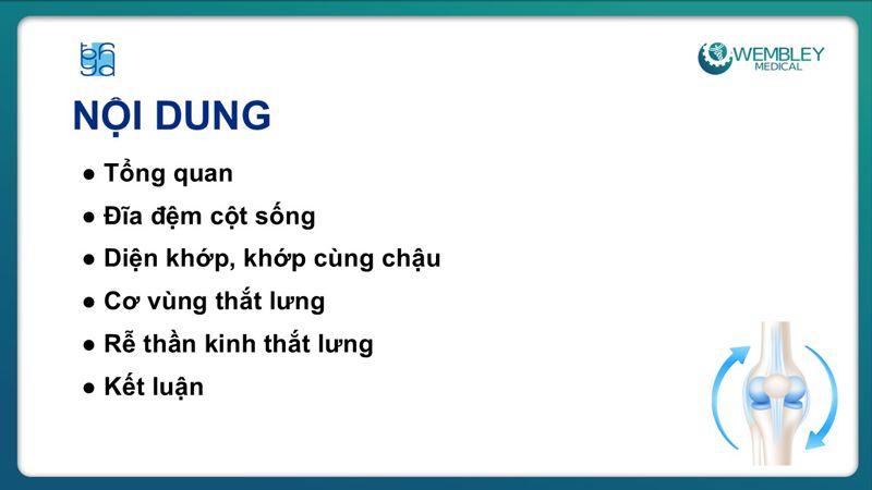 Bài báo cáo: Hiệu quả của huyết tương giàu tiểu cầu trong điều trị đau mạn tính