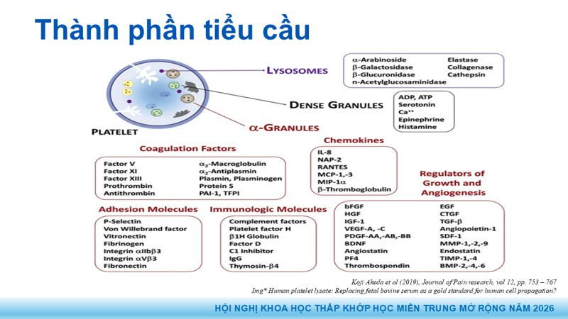 Bài báo cáo: Vai trò của Huyết tương giàu tiểu cầu trong điều trị thoái hóa khớp