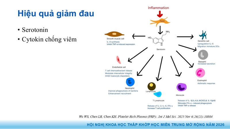 Bài báo cáo: Vai trò của Huyết tương giàu tiểu cầu trong điều trị thoái hóa khớp